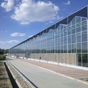 智能温室国产精品放荡VIDEOS麻豆街建设